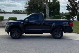 										2024 Ford F-150 XL 4×4 full									