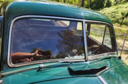 										1952 Chevrolet 3100 5-Window Pickup full									