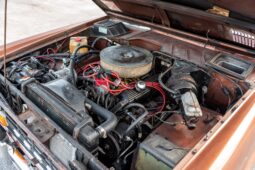 1977 Ford Bronco Sport 302