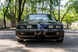 										1979 Pontiac Firebird Trans Am full									