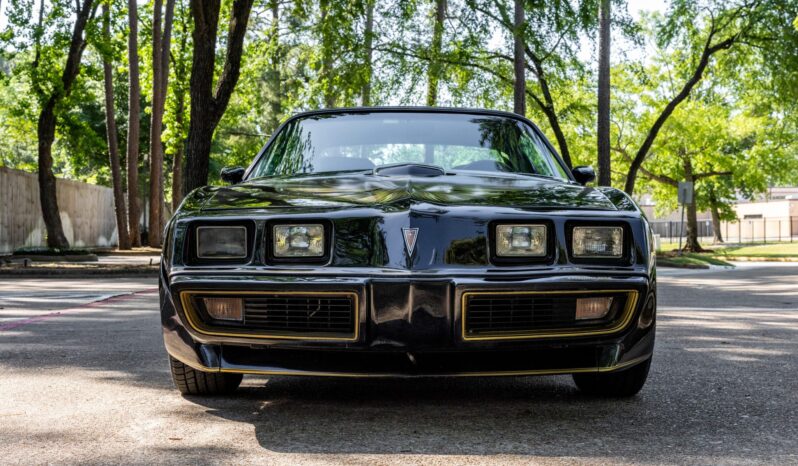 								1979 Pontiac Firebird Trans Am full									