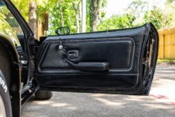 										1979 Pontiac Firebird Trans Am full									