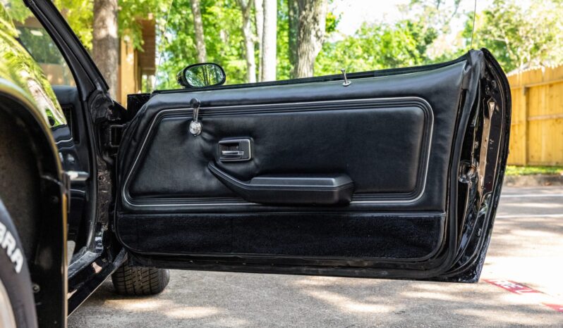 								1979 Pontiac Firebird Trans Am full									