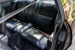 										1979 Pontiac Firebird Trans Am full									