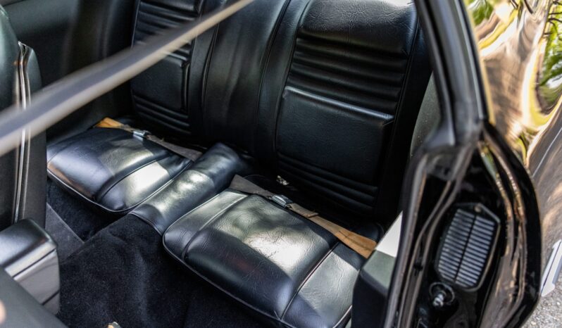 								1979 Pontiac Firebird Trans Am full									