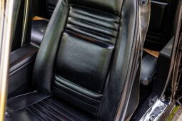 										1979 Pontiac Firebird Trans Am full									