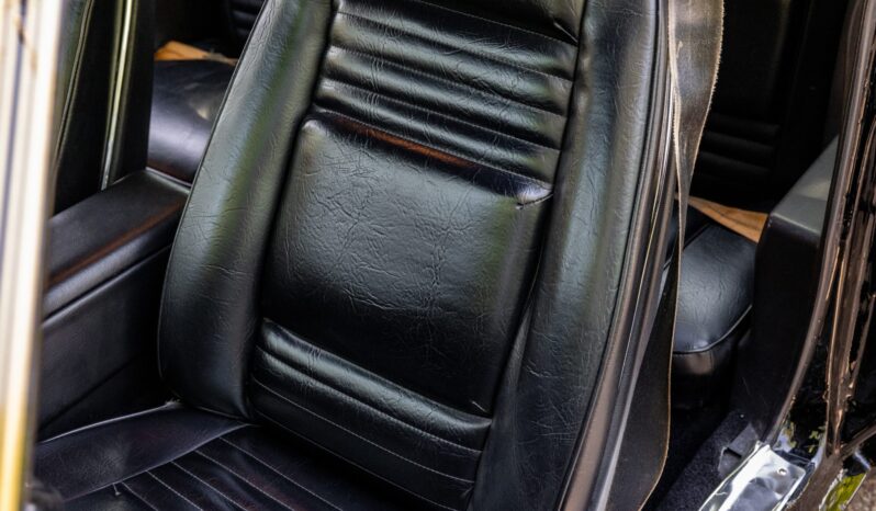 								1979 Pontiac Firebird Trans Am full									