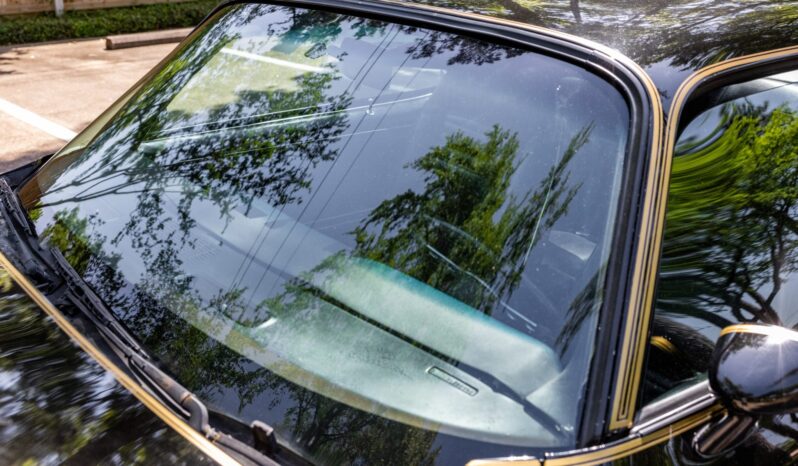 								1979 Pontiac Firebird Trans Am full									