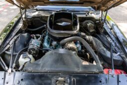 										1979 Pontiac Firebird Trans Am full									