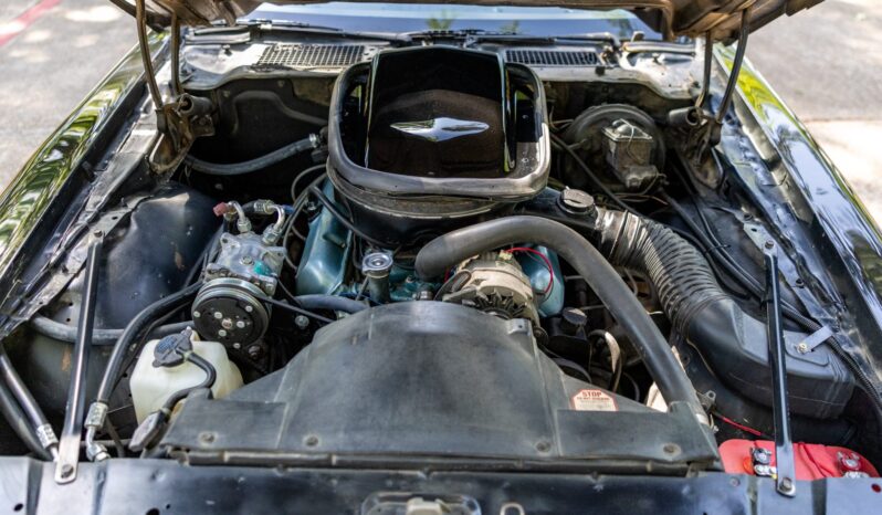 								1979 Pontiac Firebird Trans Am full									