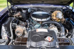 										1965 Pontiac GTO Hardtop Coupe full									