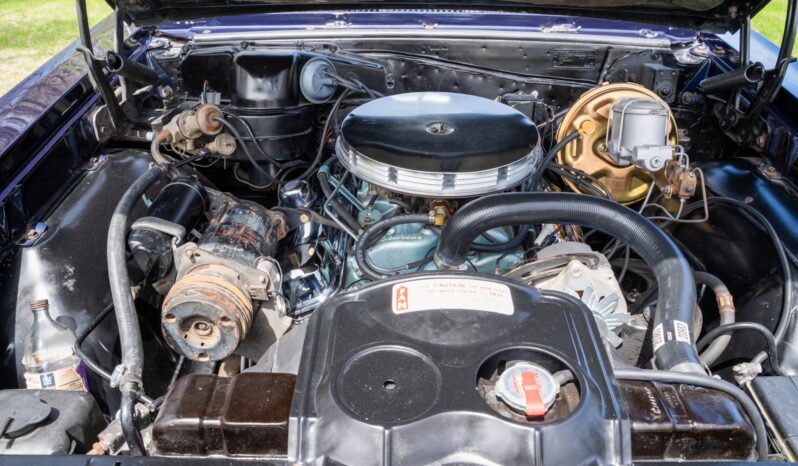 								1965 Pontiac GTO Hardtop Coupe full									