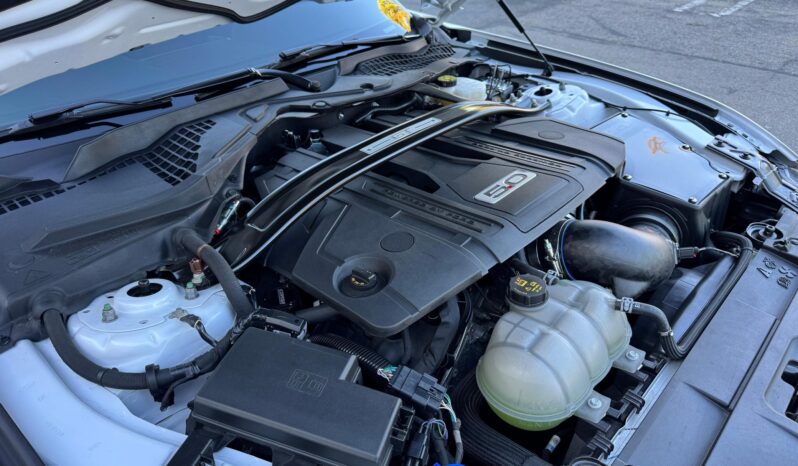 								2022 Ford Mustang Roush 450R Coupe full									