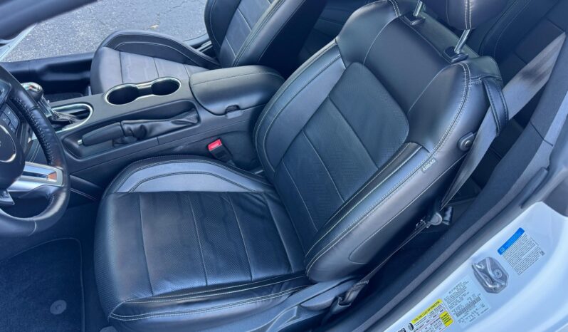 								2022 Ford Mustang Roush 450R Coupe full									