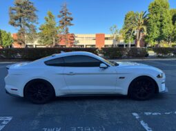 										2022 Ford Mustang Roush 450R Coupe full									