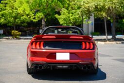 2022 Ford Mustang Shelby GT-H Convertible