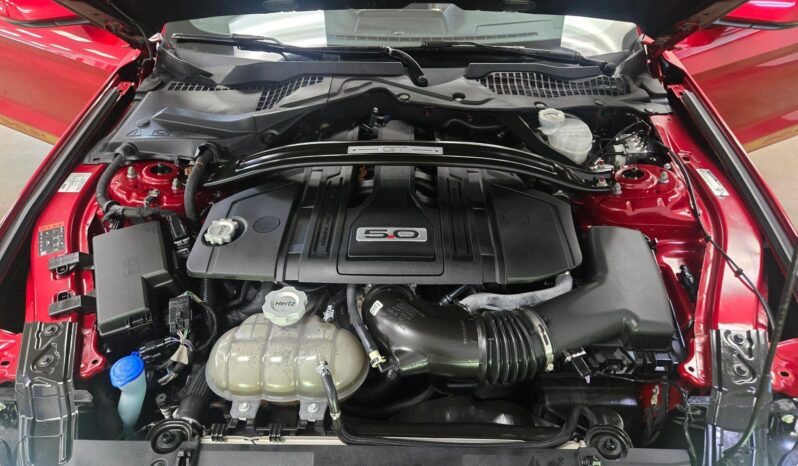 								2022 Ford Mustang Shelby GT-H Convertible full									