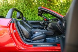 										2022 Ford Mustang Shelby GT-H Convertible full									