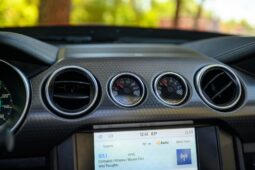 										2022 Ford Mustang Shelby GT-H Convertible full									