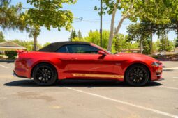 										2022 Ford Mustang Shelby GT-H Convertible full									