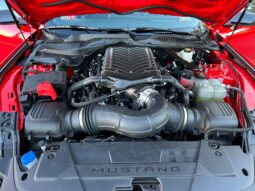 										2024 Ford Mustang Dark Horse Coupe full									