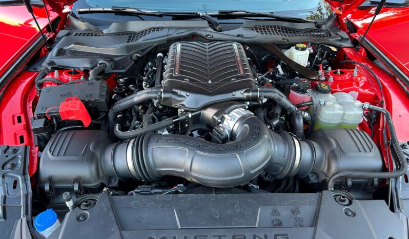 								2024 Ford Mustang Dark Horse Coupe full									