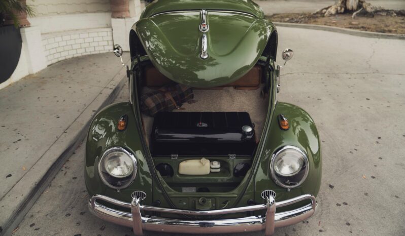 								1961 Volkswagen Beetle full									