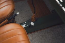 										1961 Volkswagen Beetle full									