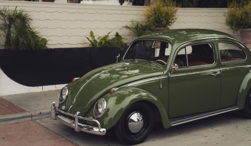 								1961 Volkswagen Beetle full									