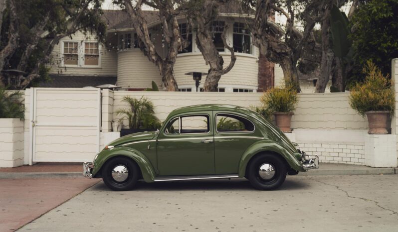 								1961 Volkswagen Beetle full									