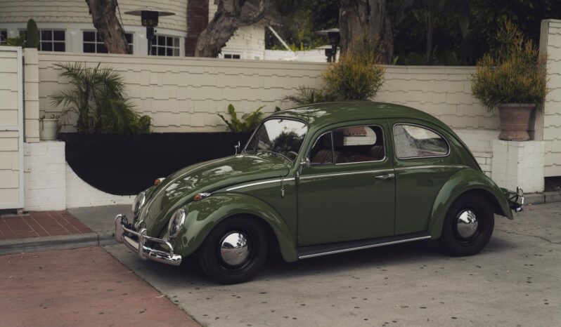 								1961 Volkswagen Beetle full									