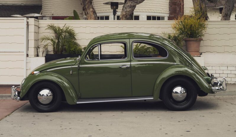 								1961 Volkswagen Beetle full									