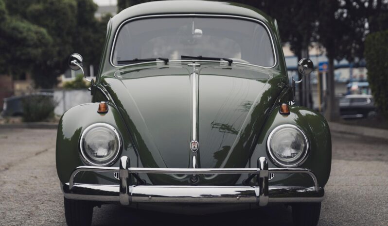 								1961 Volkswagen Beetle full									