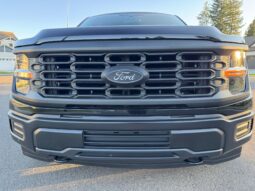 										2024 Ford F-150 XL 4×4 full									