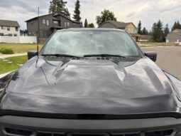 										2024 Ford F-150 XL 4×4 full									