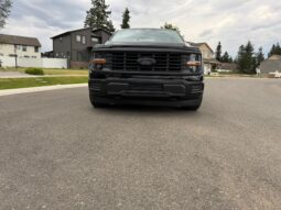 										2024 Ford F-150 XL 4×4 full									