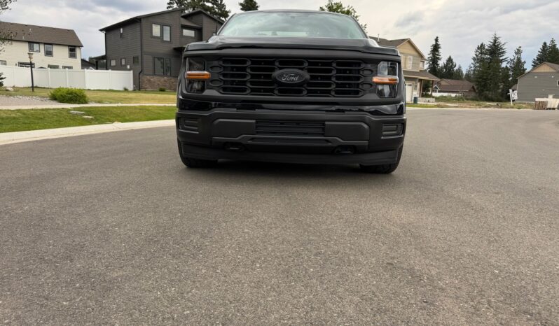 								2024 Ford F-150 XL 4×4 full									