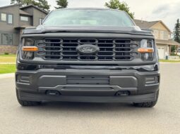 										2024 Ford F-150 XL 4×4 full									
