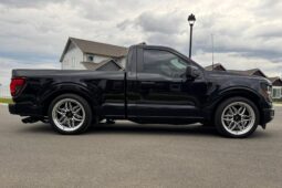 										2024 Ford F-150 XL 4×4 full									