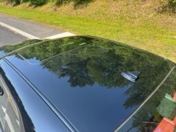 										2023 Dodge Challenger SRT Hellcat Widebody Jailbreak full									