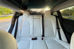 										2022 Tesla Model 3 Performance AWD full									