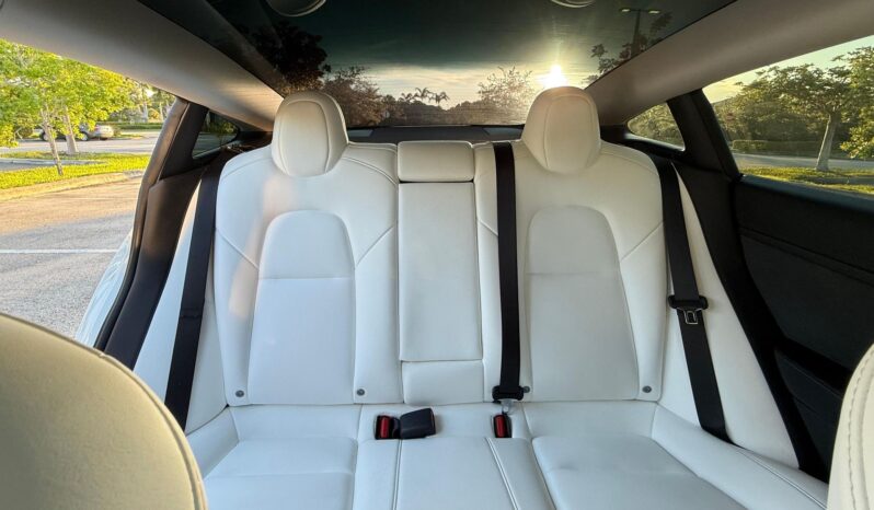 								2022 Tesla Model 3 Performance AWD full									