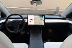 										2022 Tesla Model 3 Performance AWD full									