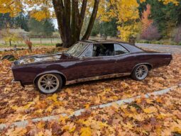 										1967 Pontiac GTO Hardtop Coupe full									