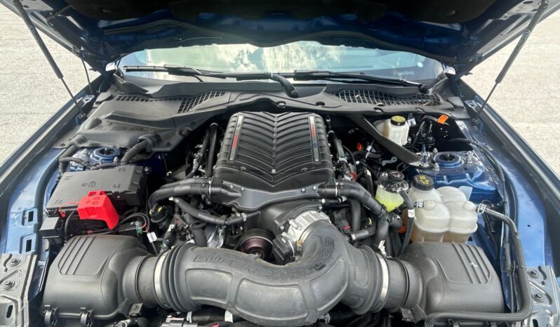 								2024 Ford Mustang GT Coupe full									