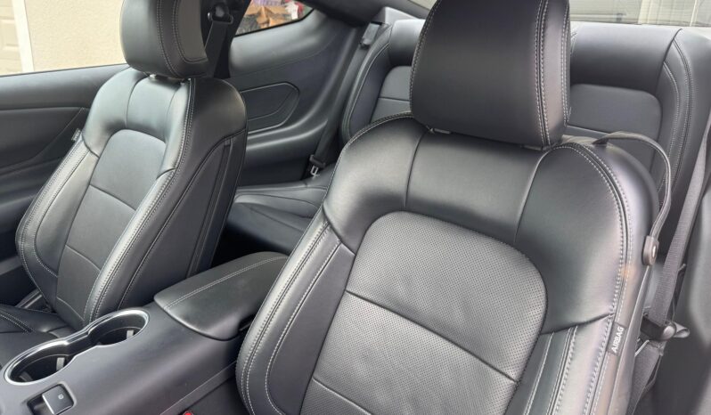 								2024 Ford Mustang GT Coupe full									