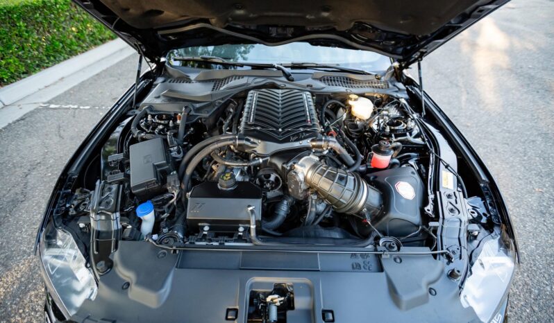 								2023 Ford Mustang Saleen S302 Yellow Label Coupe full									