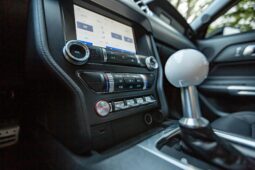 										2023 Ford Mustang Saleen S302 Yellow Label Coupe full									