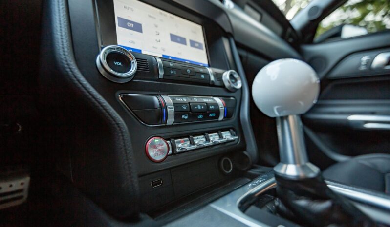 								2023 Ford Mustang Saleen S302 Yellow Label Coupe full									