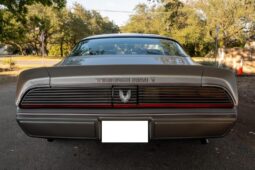 1979 Pontiac Firebird Trans Am 10th Anniversary Edition